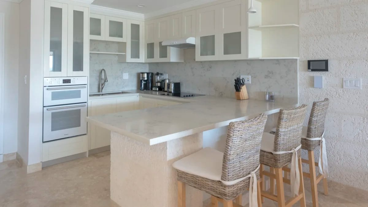 2 Bed Suite with Pool at The Crane photo 5